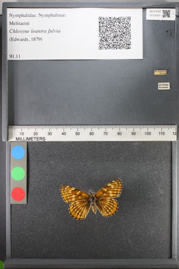Media type: image;   Entomology 100301
